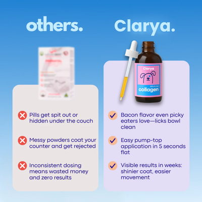 Liquid Collagen for Dogs